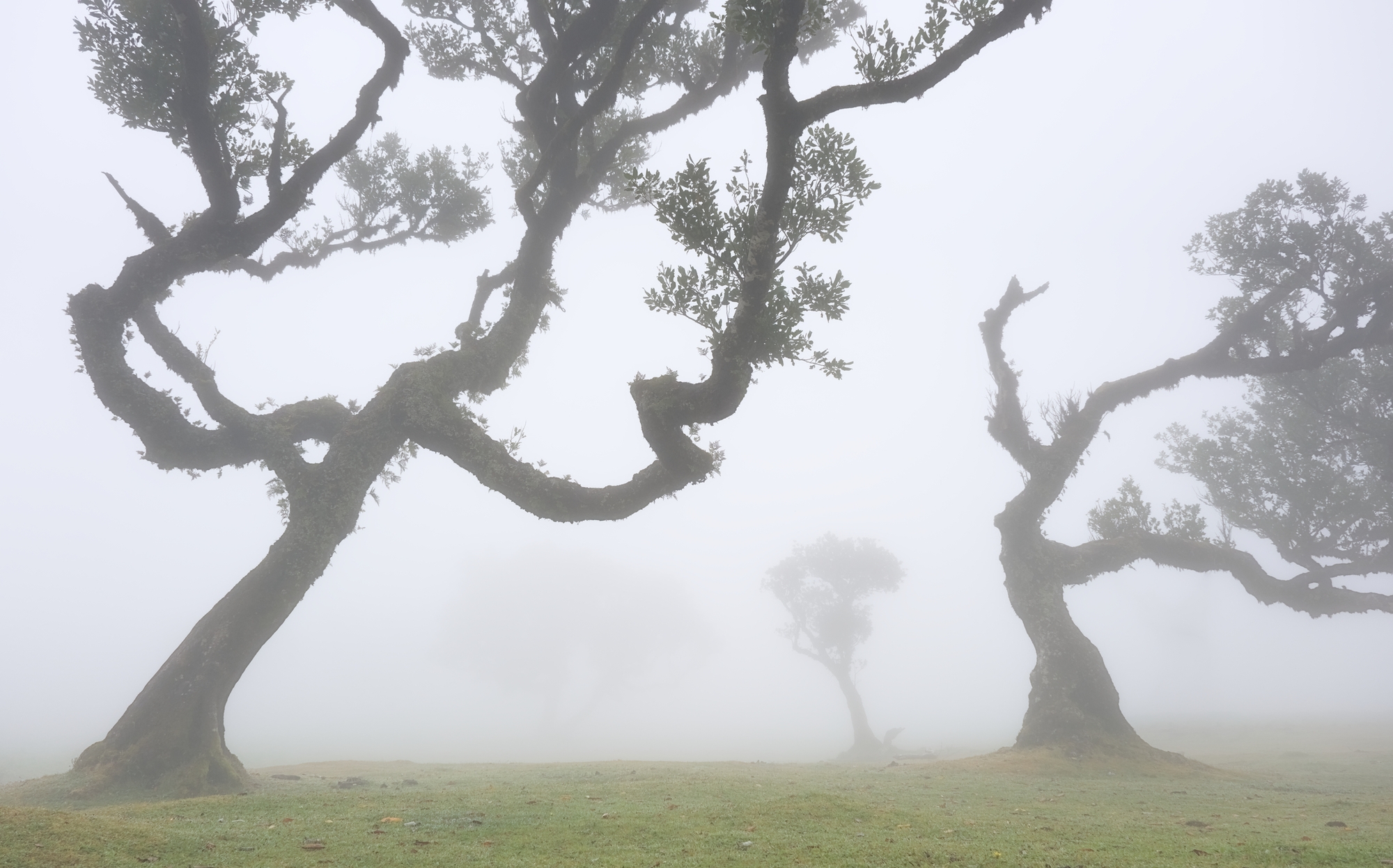 Madeira, Portugal